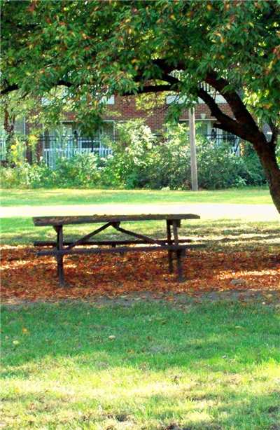 picnic-table.jpg